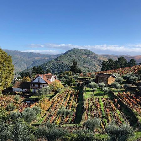 Quinta Vila Rachel - Winery Sao Mamede de Ribatua Buitenkant foto
