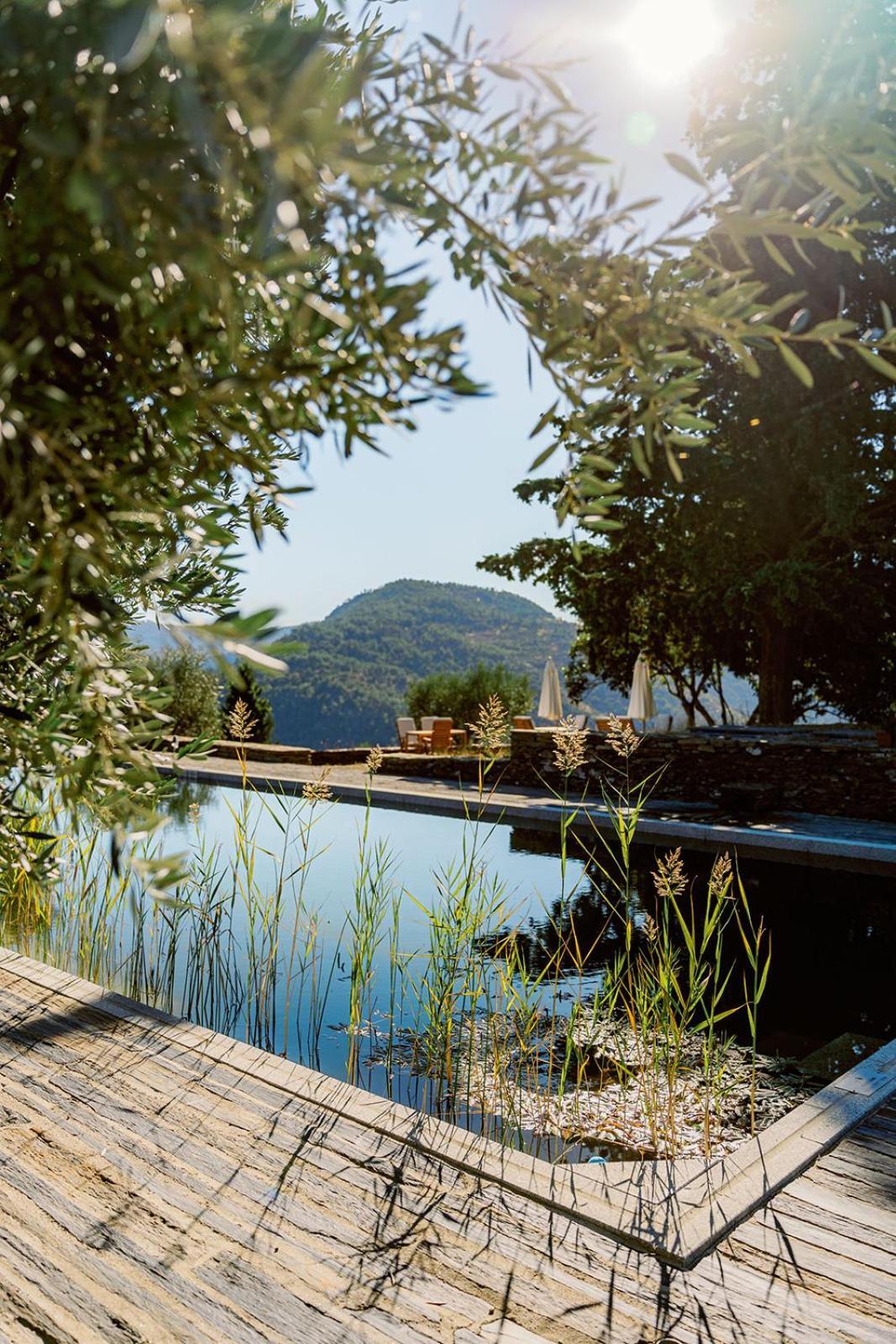 Quinta Vila Rachel - Winery Sao Mamede de Ribatua Buitenkant foto